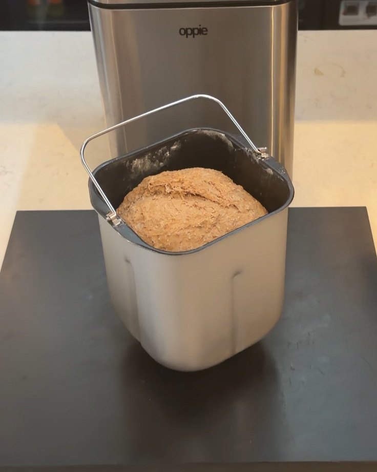 Vers gebakken volkorenbrood in de bakvorm, net uit de Oppie-broodbakmachine getild